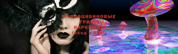 бутират Гусь-Хрустальный