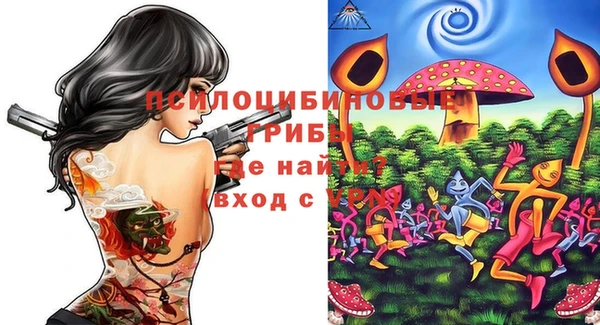 бутират Гусь-Хрустальный